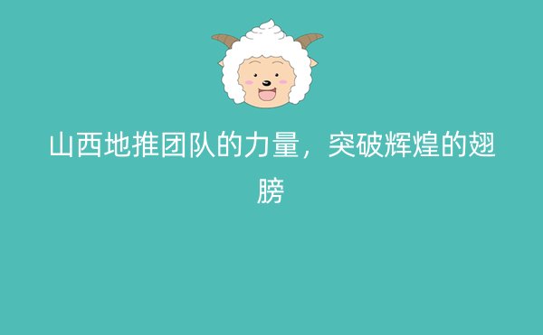山西地推团队的力量，突破辉煌的翅膀