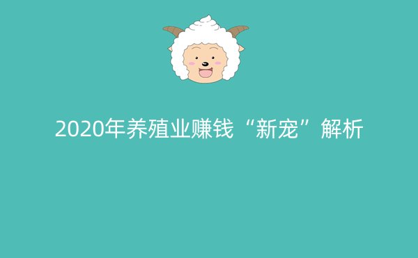 2020年养殖业赚钱“新宠”解析