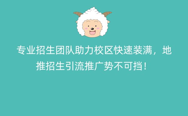 专业招生团队助力校区快速装满，地推招生引流推广势不可挡！