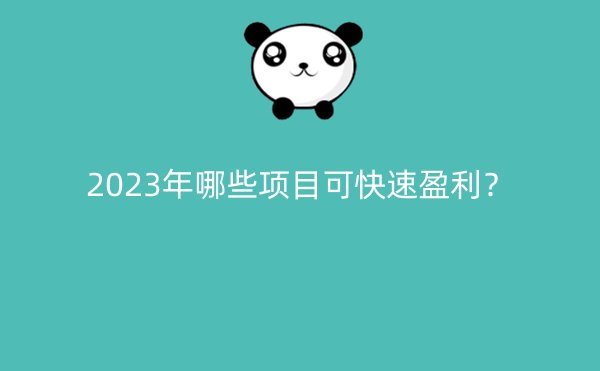 2023年哪些项目可快速盈利？