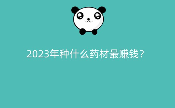 2023年种什么药材最赚钱？