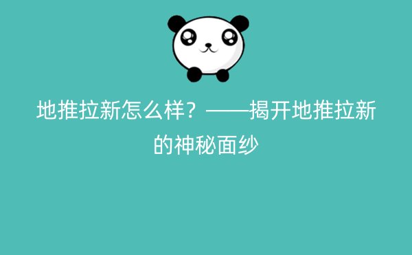 地推拉新怎么样？——揭开地推拉新的神秘面纱