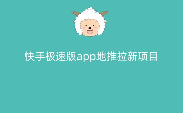 快手极速版app地推拉新项目