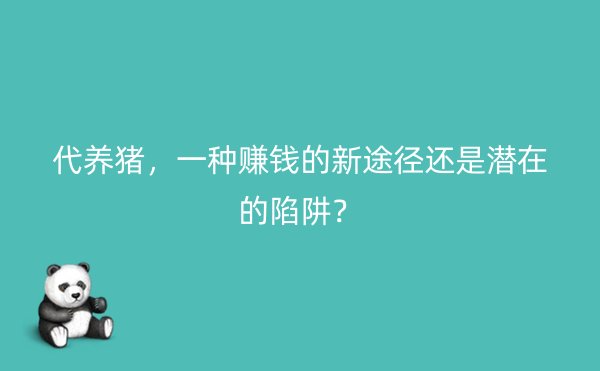 代养猪，一种赚钱的新途径还是潜在的陷阱？