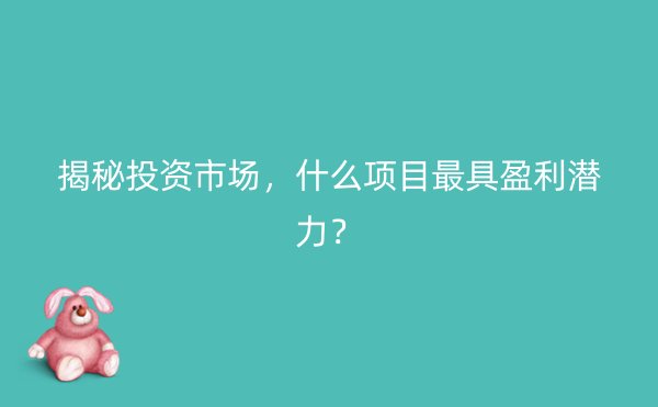 揭秘投资市场，什么项目最具盈利潜力？