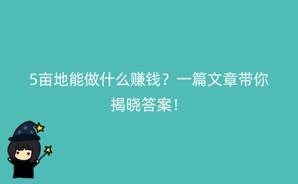 5亩地能做什么赚钱？一篇文章带你揭晓答案！