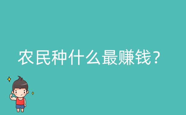 农民种什么最赚钱？