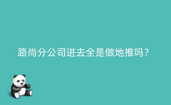 路尚分公司进去全是做地推吗？