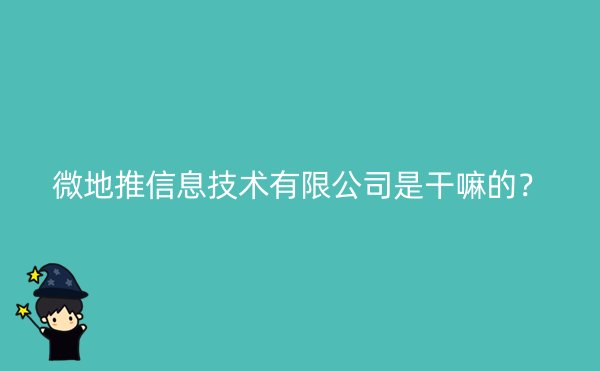 微地推信息技术有限公司是干嘛的？