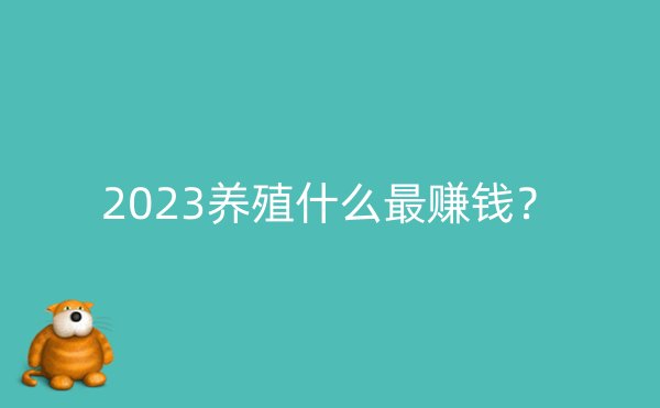 2023养殖什么最赚钱？