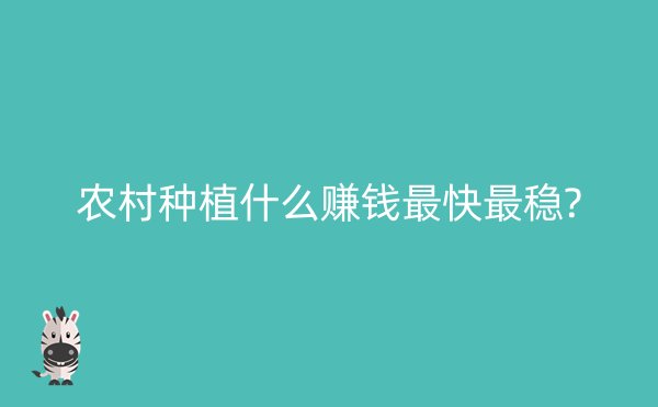 农村种植什么赚钱最快最稳?