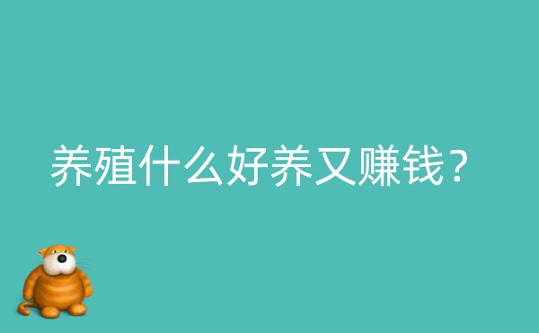 养殖什么好养又赚钱？