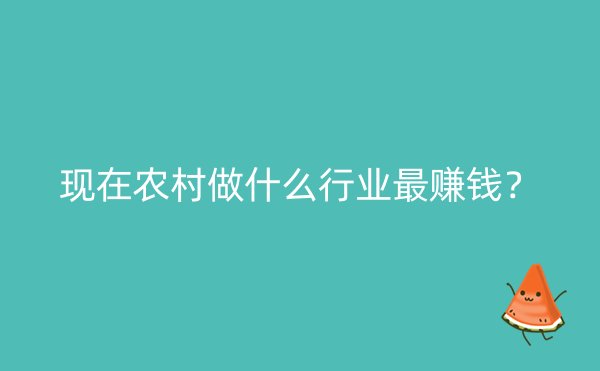 现在农村做什么行业最赚钱？