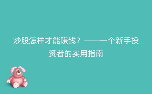 炒股怎样才能赚钱？——一个新手投资者的实用指南