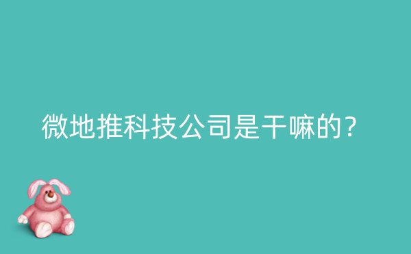 微地推科技公司是干嘛的？