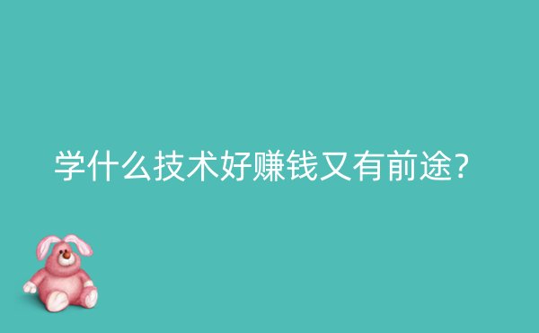 学什么技术好赚钱又有前途？