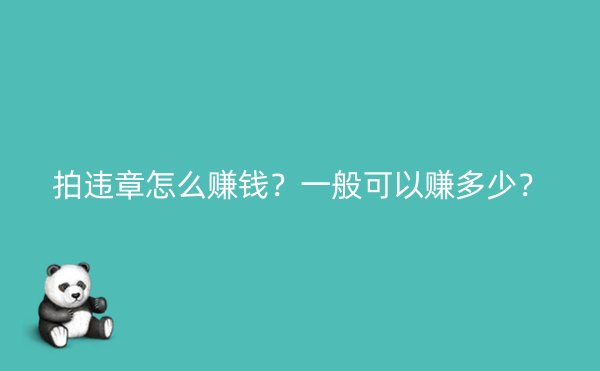 拍违章怎么赚钱？一般可以赚多少？