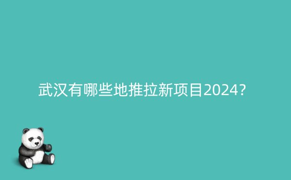 武汉有哪些地推拉新项目2024？