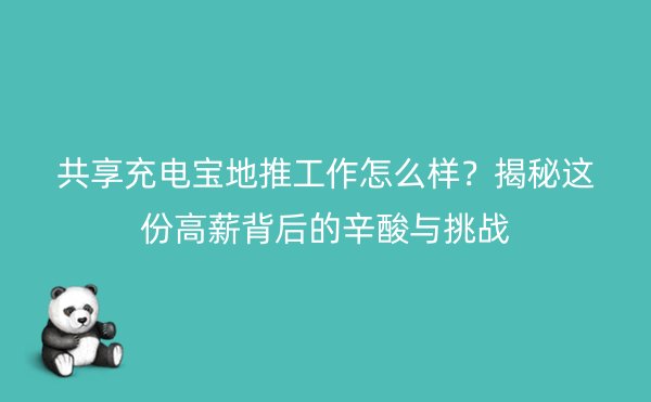 共享充电宝地推工作怎么样？揭秘这份高薪背后的辛酸与挑战