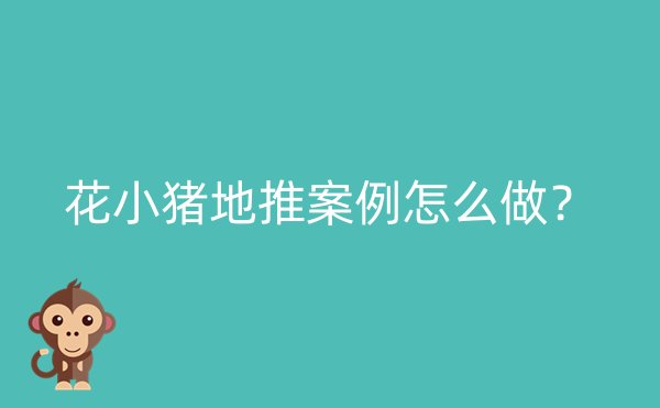 花小猪地推案例怎么做？