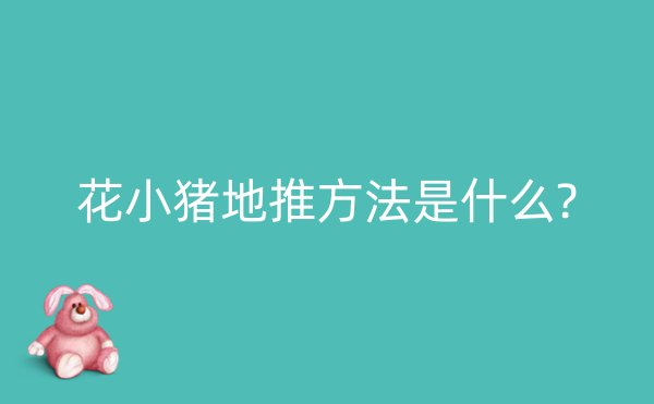 花小猪地推方法是什么?