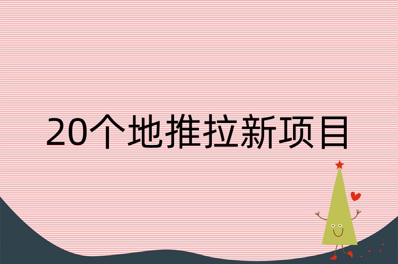 20个地推拉新项目