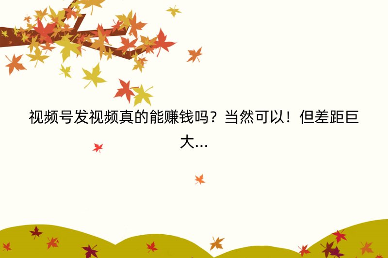 视频号发视频真的能赚钱吗？当然可以！但差距巨大…