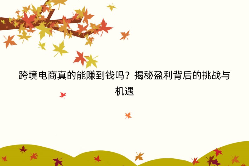 跨境电商真的能赚到钱吗？揭秘盈利背后的挑战与机遇