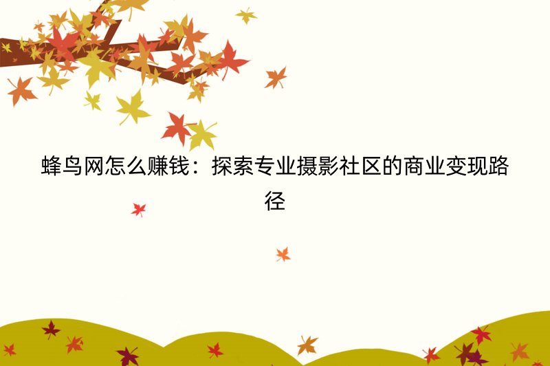 蜂鸟网怎么赚钱：探索专业摄影社区的商业变现路径