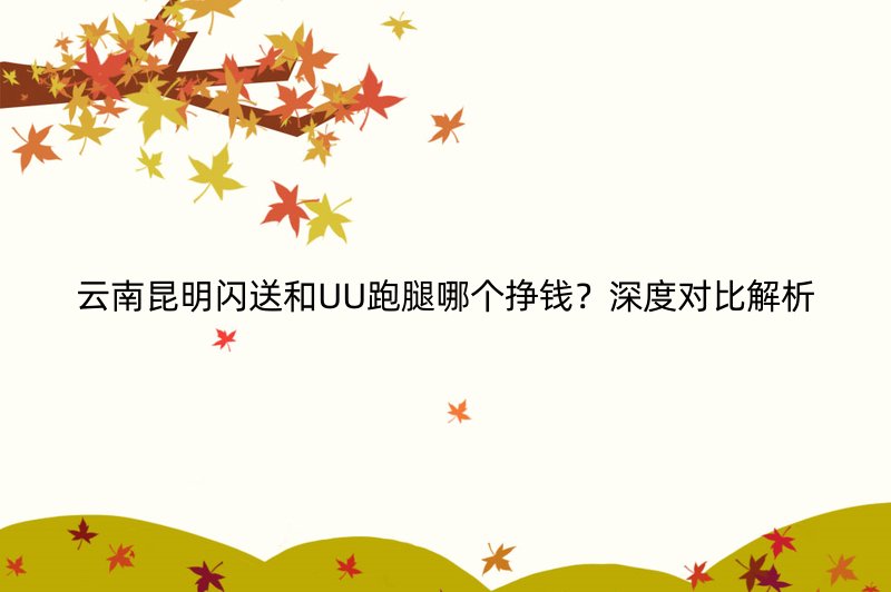 云南昆明闪送和UU跑腿哪个挣钱？深度对比解析
