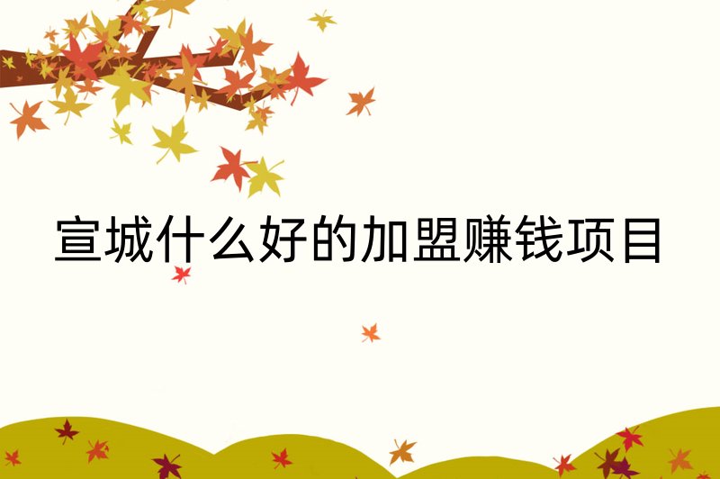 宣城什么好的加盟赚钱项目
